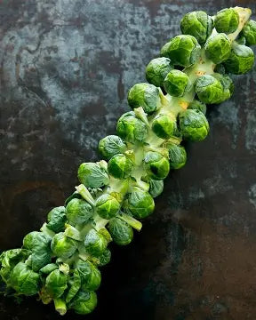 Bank Farm Brussels Sprout Stalks